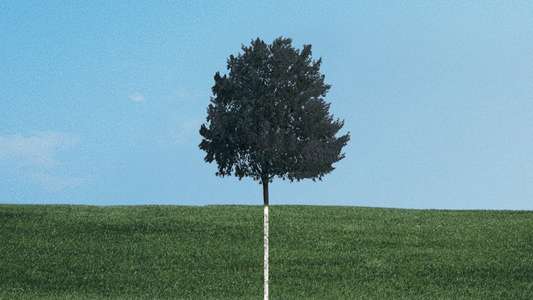 Six Feet Under - Backdrops