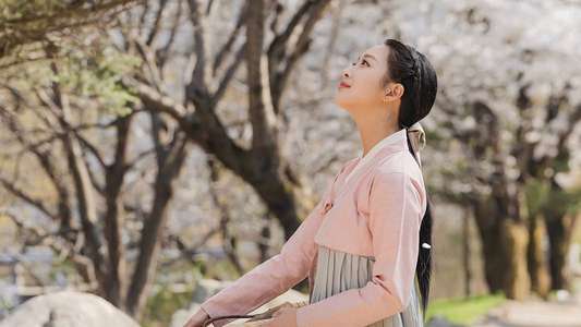 Destined with You - Backdrops