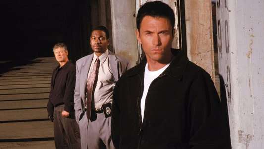 The Fugitive: The Chase Continues - Backdrops