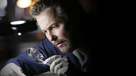 CSI: Crime Scene Investigation - Backdrops