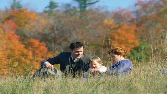 Anne of Green Gables: The Continuing Story - Backdrop