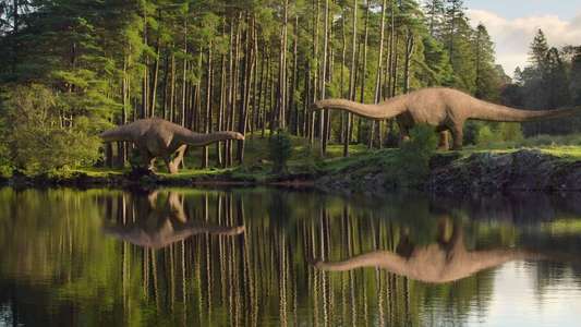 Life on Our Planet - Backdrops