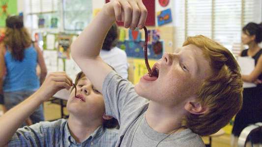 How to Eat Fried Worms - Backdrop