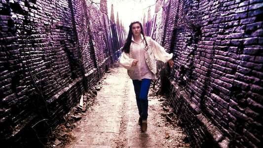 Labyrinth - Backdrop