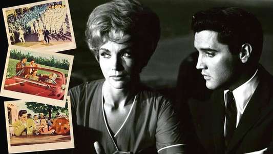 It Happened at the World's Fair - Backdrop
