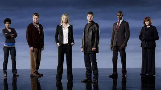 Fringe - Backdrop