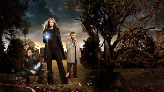 Fringe - Backdrop