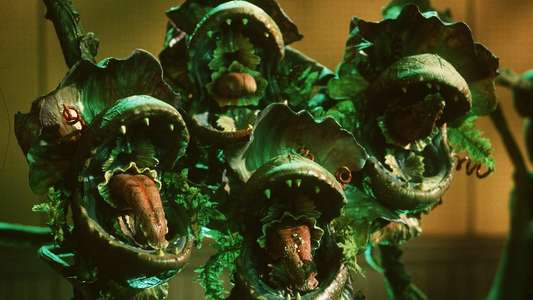 Little Shop of Horrors - Backdrop