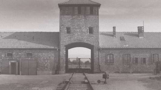 Genocide - Backdrops