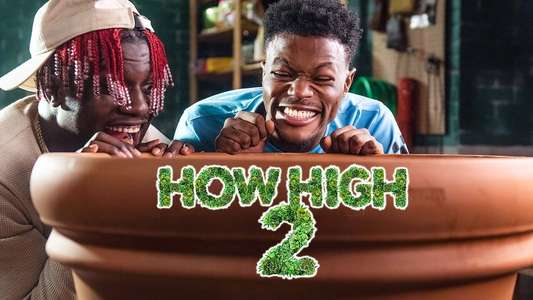 How High 2 - Backdrop
