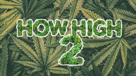How High 2 - Backdrop