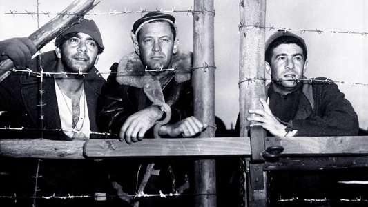 Stalag 17 - Backdrop