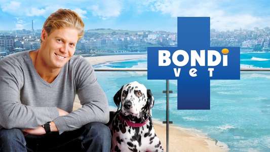 Bondi Vet - Backdrops