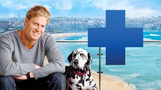 Bondi Vet - Backdrops