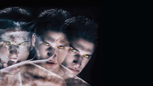 Teen Wolf - Backdrop