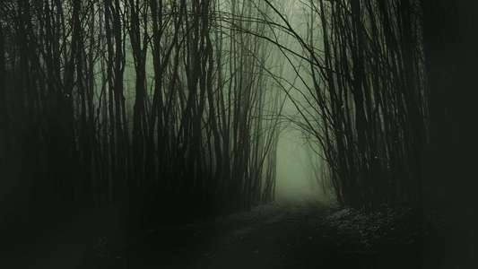 The Mire - Backdrops