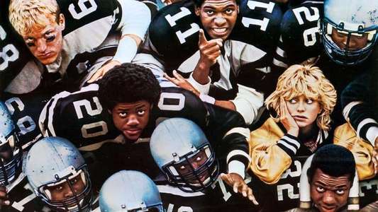 Wildcats - Backdrop