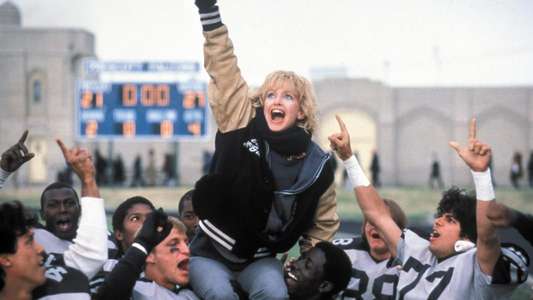 Wildcats - Backdrop