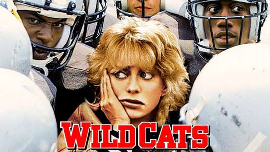 Wildcats - Backdrop