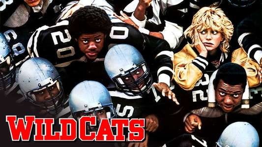 Wildcats - Backdrop