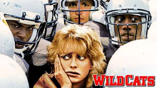 Wildcats - Backdrop