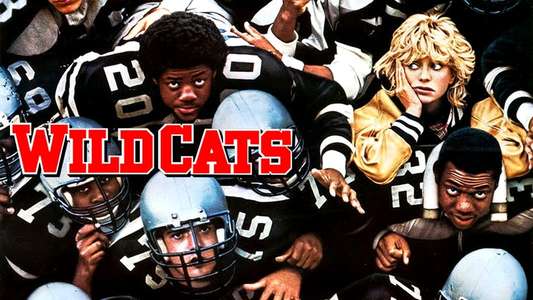 Wildcats - Backdrop