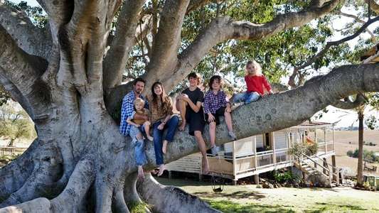 The Tree - Backdrop