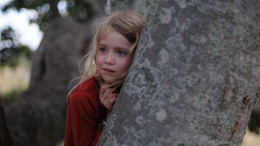 The Tree - Backdrop