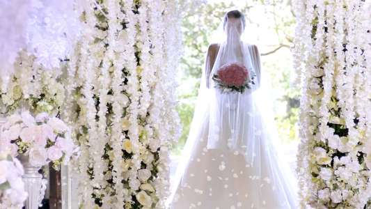 The Unmarried Wife - Backdrop