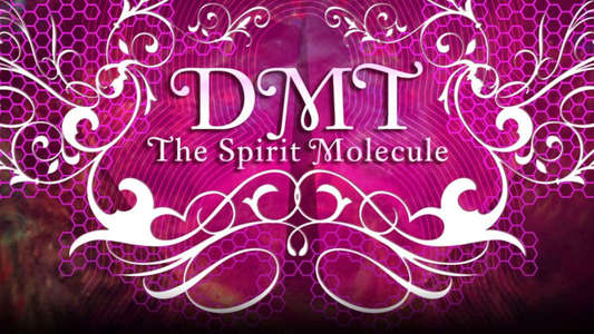 DMT: The Spirit Molecule - Backdrop