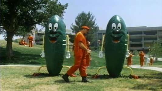 Hamburger: The Motion Picture - Backdrop