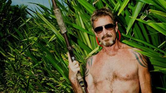 Gringo: The Dangerous Life of John McAfee - Backdrop