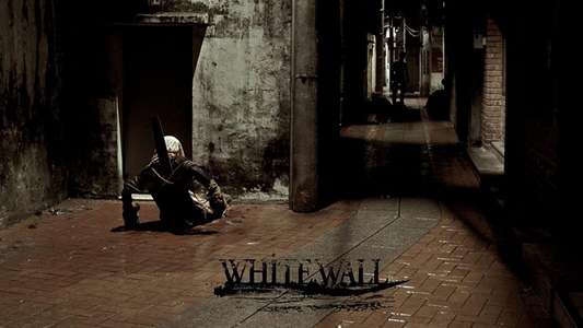White Wall - Backdrop