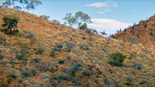 The Tracker - Backdrops