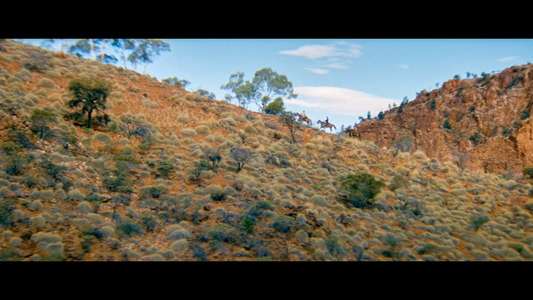 The Tracker - Backdrops