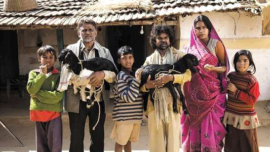 PEEPLI [Live] - Backdrop