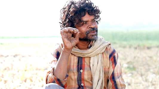 PEEPLI [Live] - Backdrop