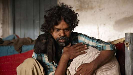 PEEPLI [Live] - Backdrop
