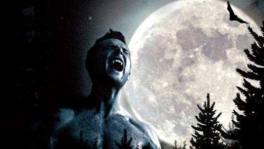 Nowhere Left to Run - Backdrop