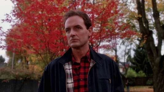 The Stepfather - Backdrop