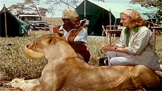 Born Free - A New Adventure - Backdrop