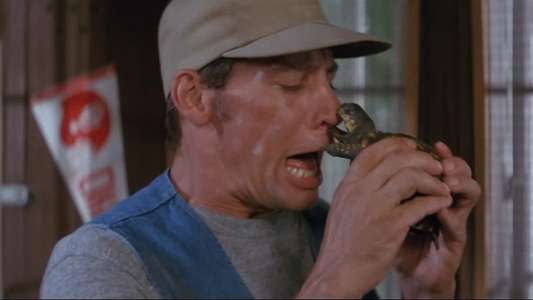 Ernest Goes to Camp - Backdrop
