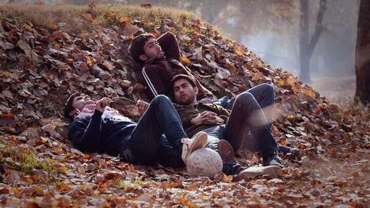 Autumn - Backdrop