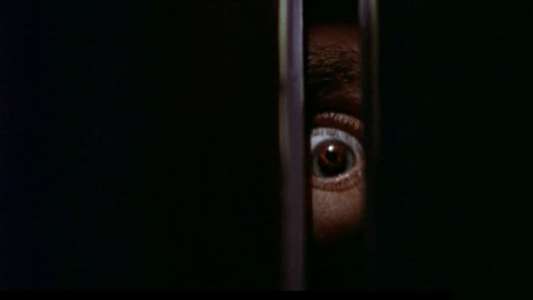 The 50 Best Horror Movies You've Never Seen - Backdrop