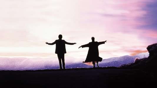 The Doctor - Backdrop