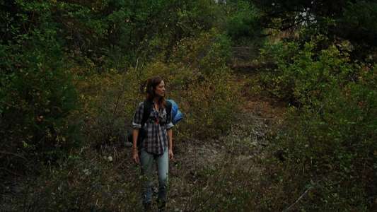 Willow Creek - Backdrop