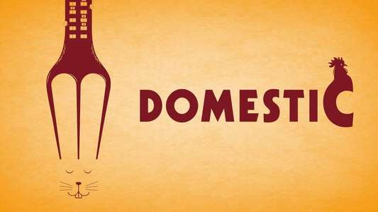 Domestic - Backdrop