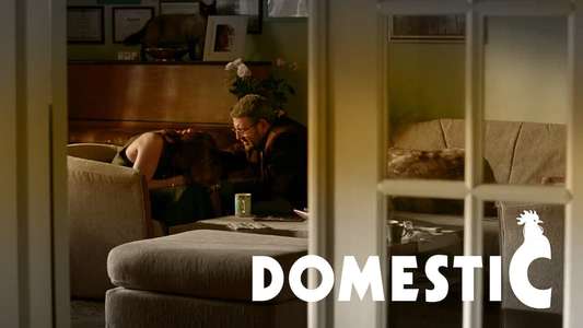 Domestic - Backdrop