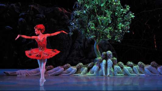 Stravinsky and the Ballets Russes: The Firebird / The Rite of Spring - Backdrop