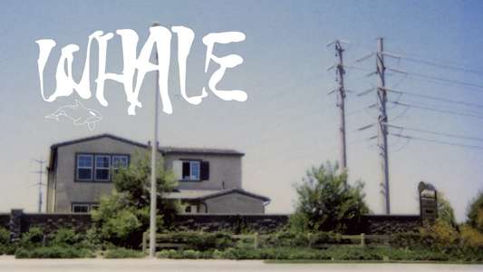 Whale - Backdrop